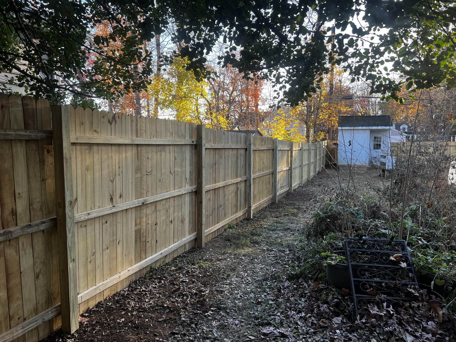New cedar privacy fence, rear yard
